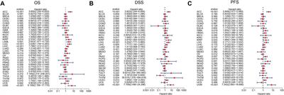 ARPC2: A Pan-Cancer Prognostic and Immunological Biomarker That Promotes Hepatocellular Carcinoma Cell Proliferation and Invasion